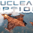 Nuclear Option